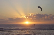 sunset along the Oregon central coast