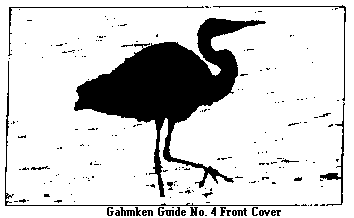 silhouette of Great Blue Heron